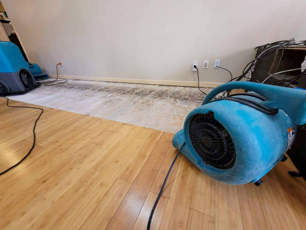 Professional Water Damage Repair technician working in Encinitas, CA